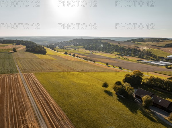 Green and golden fields under a sunny sky, far-reaching and idyllic, Gechingen, district of Calw, Germany