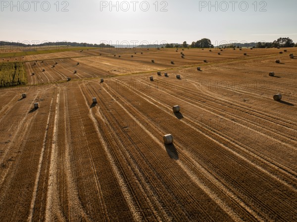 Landscape with widely scattered straw bales on fields under the sun, peaceful, Gechingen, district Calw, Germany