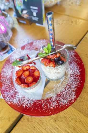 A dessert with fresh strawberries on a red plate in a restaurant, Lake Constance, Germany