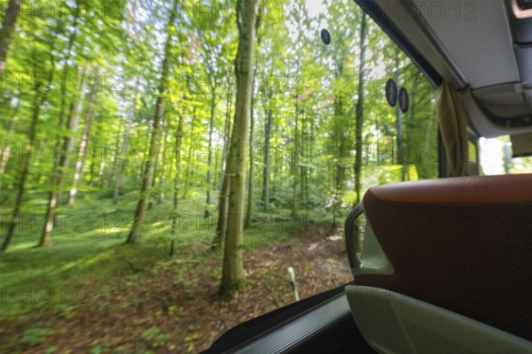 View from a bus window of a lush green forest in the sunshine, Lake Constance, Germany