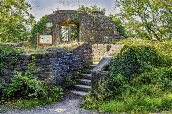 View down old staircase in historic castle courtyard to entrance of former residential building residential wing behind remnant of wall with window niche part of ruins of Isenburg Castle, Schellenberger Wald, Essen, North Rhine-Westphalia, Germany