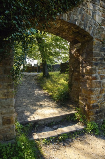 View from former kennel outside of castle to former castle gate entrance to today's castle ruins Isenburg in historic ring wall, Schellenberger Wald, Essen, North Rhine-Westphalia, Germany