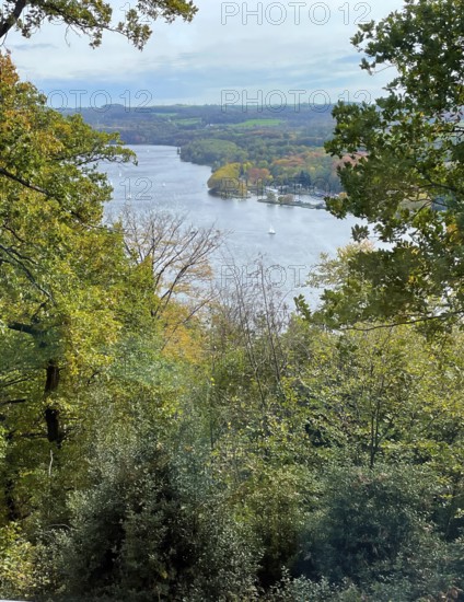 View through treetops of mixed forest Schellenberger Wald in late summer to Lake Baldeney, Essen, North Rhine-Westphalia, Germany