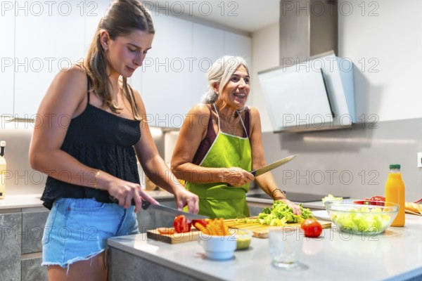 Two women enjoying a cooking session together, preparing fresh vegetables in a bright, modern kitchen, showcasing family bonding and culinary skills