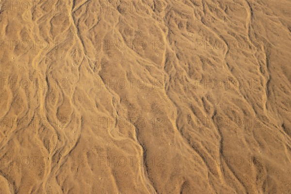Patterns in the sand of the Namib Desert. Namibia