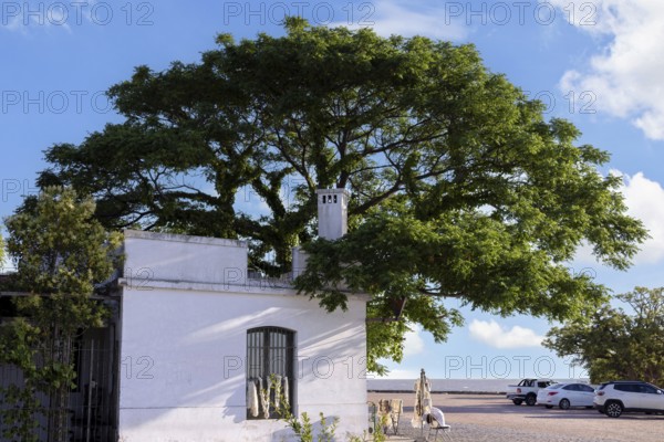Uruguay, colonial streets of Colonia Del Sacramento in historic center of Barrio Historico