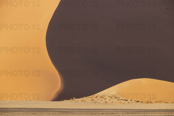 Sand dunes in the Namib Desert. Namib-Naukluft Park, Namibia