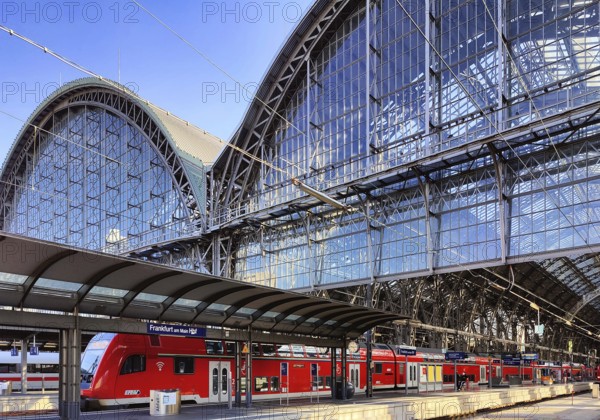 Main railway station with local train and platform halls, Frankfurt am Main, Hesse, Germany