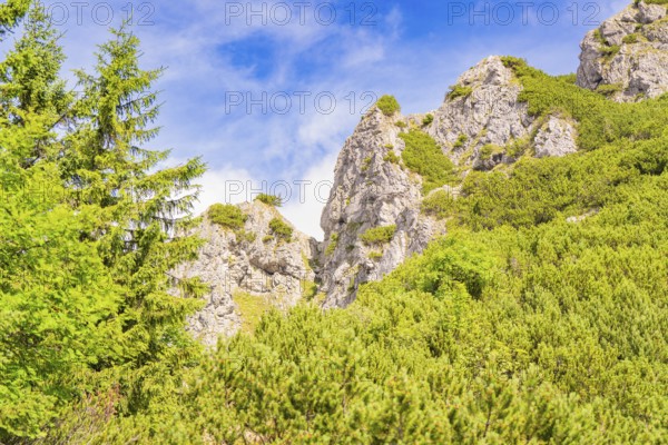 Rocky mountain landscape with trees under a blue sky and sunny weather, Herzogstand summit, Walchensee, Schlehdorf, Germany