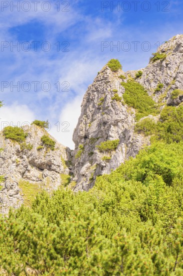 Steep rock formations with green vegetation against a blue sky, Herzogstand summit, Walchensee, Schlehdorf, Germany