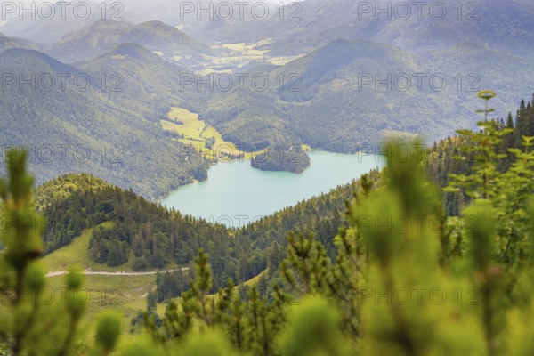 Panoramic view of a lake surrounded by mountains and forests, Herzogstand summit, Walchensee, Schlehdorf, Germany