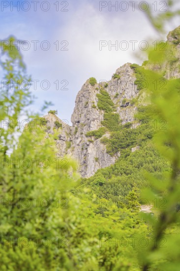 Steinerner Berg with lush green foliage under a clear sky, Herzogstand summit, Walchensee, Schlehdorf, Germany