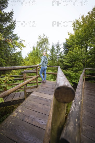 Person standing on a wooden viewing platform and looking over the forest, Lotharpfad, Black Forest, Germany