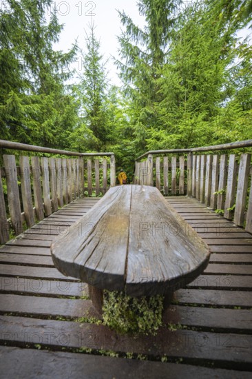 A rustic wooden table stands on a footbridge in a green forest and invites you to linger, Lotharpfad, Black Forest, Germany