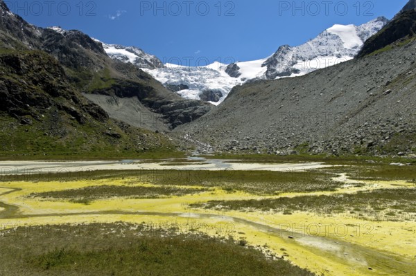 Algae bloom in the silting mountain lake Lac de Châteaupré in the glacier foreland of the Moiry glacier, Val de Moiry, Anniviers, Valais, Switzerland