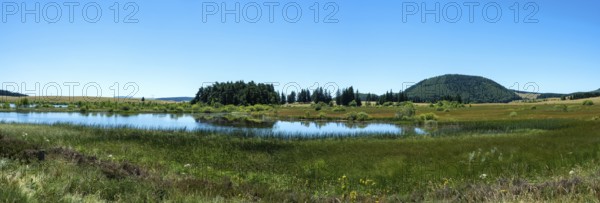 Bog of Bourdouze lake, Auvergne Volcanoes Regional Park, Puy de Dome., Auvergne-Rhone-Alpes, France