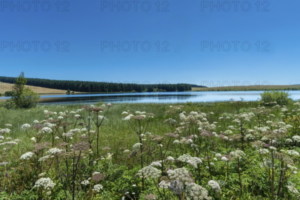 Lake of Bourdouze, Auvergne Volcanoes Regional Park, Puy de Dome., Auvergne-Rhone-Alpes, France
