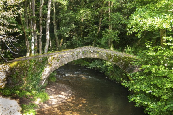 Gallo Roman Bridge, Valbeleix, Auvergne Volcanoes Natural Park, Puy de Dome department, Auvergne-Rhone-Alpes, France