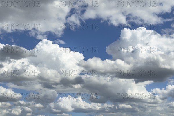 Many white altocumulus clouds cluster clouds under a bright blue sky can be seen through gaps in the cloud cover, internationally