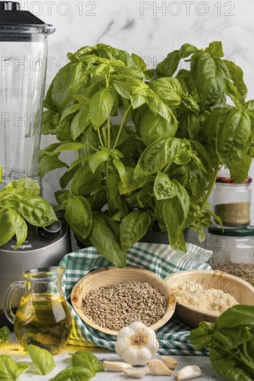 Basil next to a blender, with bowls full of pesto ingredients such as sunflower seeds, garlic and Parmesan cheese