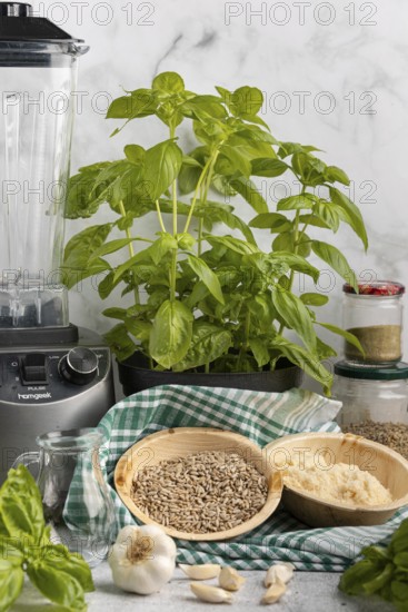 Basil next to a blender, with bowls full of pesto ingredients such as sunflower seeds and Parmesan cheese
