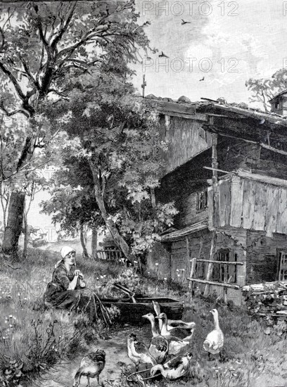 Goosekeeper, Girl sits by a small stream in front of the farmhouse and tends the geese, 1890, Historical, authentic, digitally restored reproduction from a 19th century original, Record date not stated