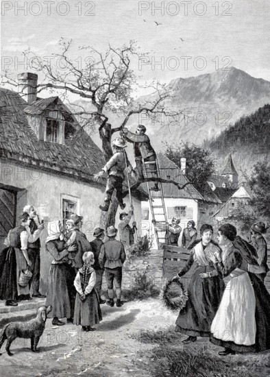 According to tradition, unmarried woman might be given a straw doll on their doorstep at Whitsun. It bears the name Pfingstlotter . In this way, the village lads are signalling that the young ladies should finally get married, 1880, Austria, Historical, authentic, digitally restored reproduction from a 19th century original, Record date not stated