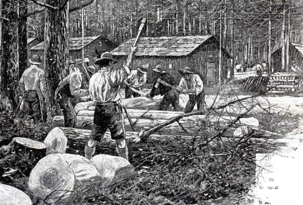 Woodworker in a forest destroyed by pests, here by the moth nun, Lymantria monacha, 1890, Historical, authentic, digitally restored reproduction from a 19th century original, Record date not stated