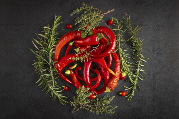 Red peppers, chilli peppers and herbs arranged on a dark background