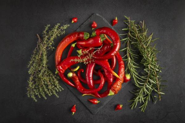 Hot red peppers and herbs, rosemary and thyme, on a dark background