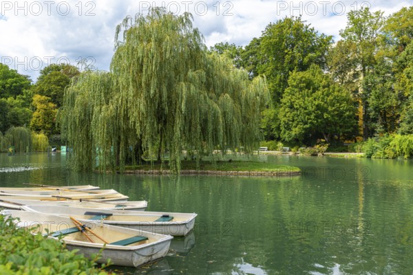 Pond in Doblhoffpark with boats and weeping willow (Salix babylonica), Baden, Lower Austria, Austria