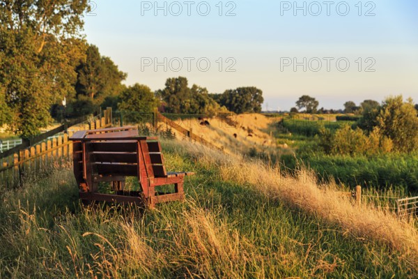 Wooden bench on dyke, evening light, river Stör, Kremper Marsch, Hodorf, Itzehoe, Schleswig-Holstein, Germany