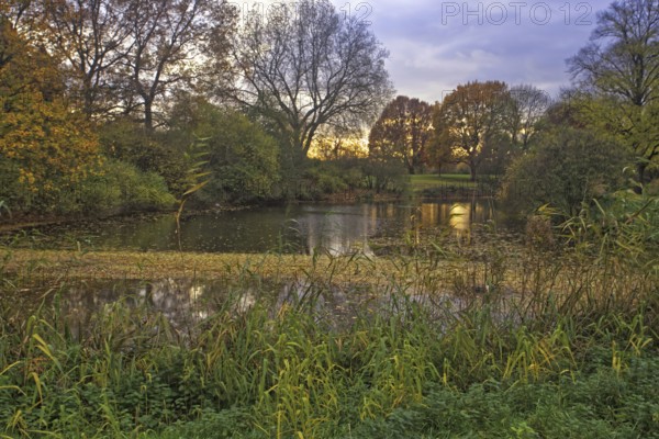 A moat in an autumnal evening mood with colourful trees and a peaceful atmosphere, Krefeld Castle Park