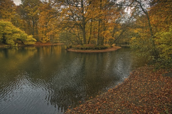 A pond with a wooded island in autumn colours and a calm water surface, Krefeld city forest