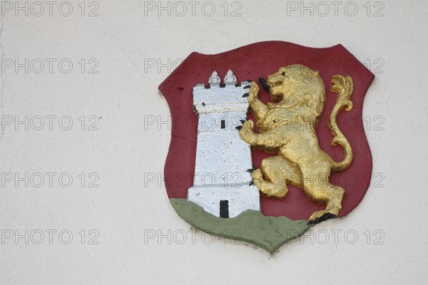 Town coat of arms with lion figure and tower, cut-out, market, Heldburg, Thuringia, Germany