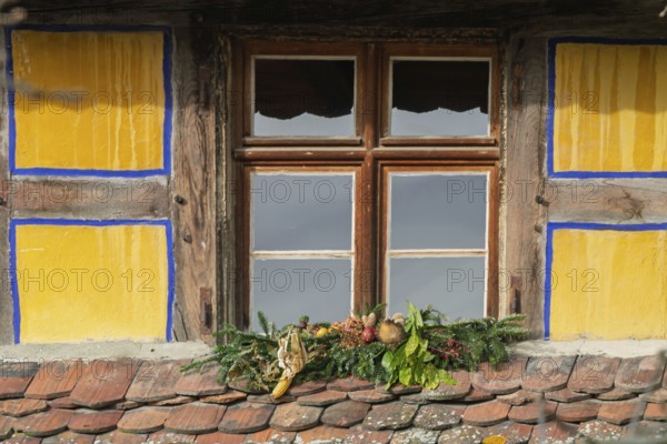 Window in a half-timbered house with Christmas decorations, Alsace, France