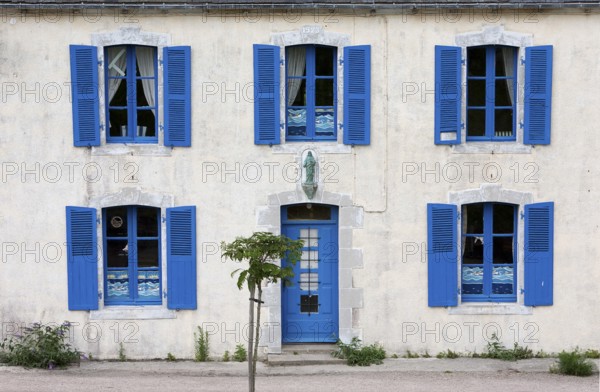 A house with blue shutters and windows, a small tree in front of it, summer atmosphere, Brittany, France