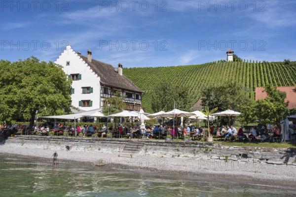 Ein Biergarten am Bodenseeufer mit dem historischen Fachwerkbau vom Rebgut Haltnau bei Meersburg, rechts der dazugehörige Weinberg mit dem historischen Winzerturm, Bodensee, Bodenseekreis, Baden-Württemberg, Deutschland