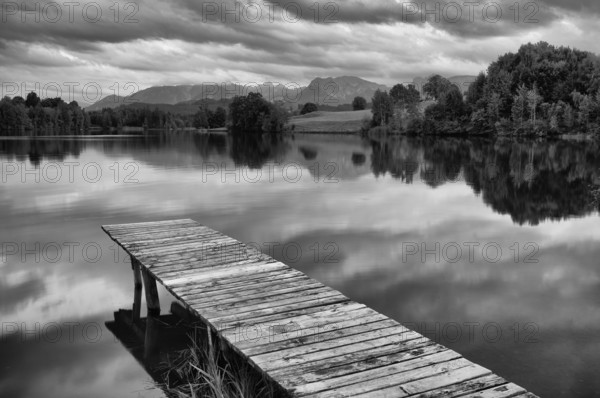 Bathing jetty, jetty, wooden jetty, jetty, leads into a lake, bathing lake, Schwaltenweiher near Seeg, black and white, Allgäu Alps, East Allgäu, Allgäu, Swabia, Bavaria, Germany