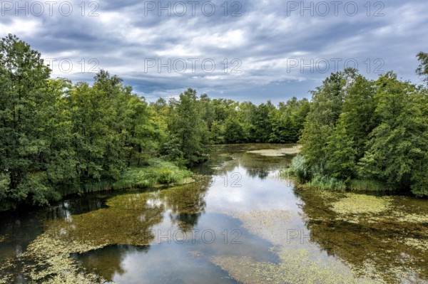 Brenndorf bird sanctuary, Drau riverbank, river, Carinthia, Austria