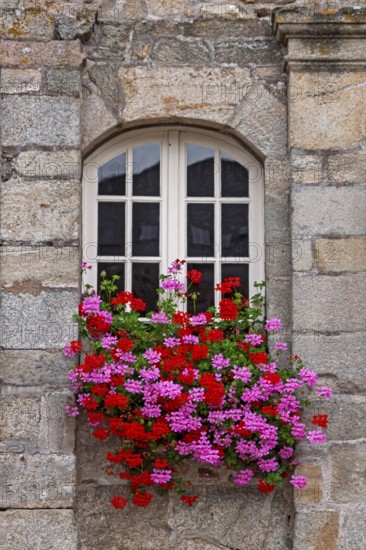 Arched window in a historic house, floral decoration, old town of Guingamp, Département Côtes-d'Armor, Brittany, France