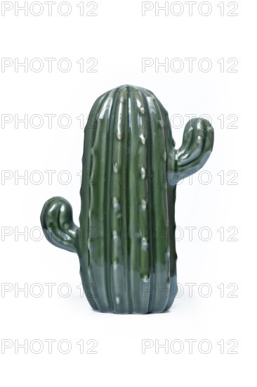 Green ceramic cactus decorative object on white background