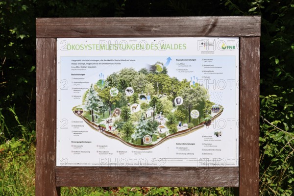 Forbach, Germany - July 12th 2025: Infographic about the forest ecosystem in the Black Forest with information on flora, fauna, and biodiversity