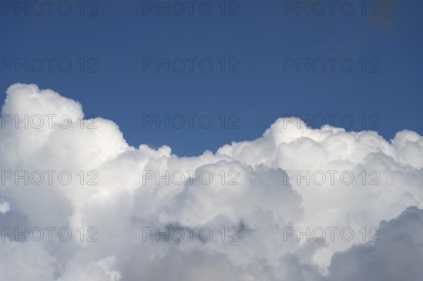 Cluster clouds (cumulus), Bavaria, Germany