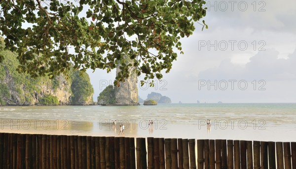 Tropical beach view with tourists enjoying railay beach in krabi, thailand, framed by a bamboo fence and lush tropical trees