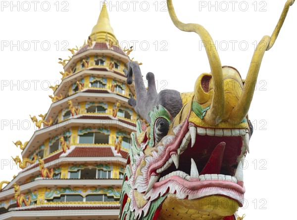 Colorful dragon statue standing in front of a traditional thai temple, showcasing the rich cultural heritage and spiritual significance of these sacred sites