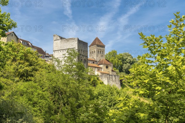 The historic church of sauveterre de bearn rises majestically above a canopy of vibrant green trees, showcasing the beautiful blend of nature and architecture in the french countryside