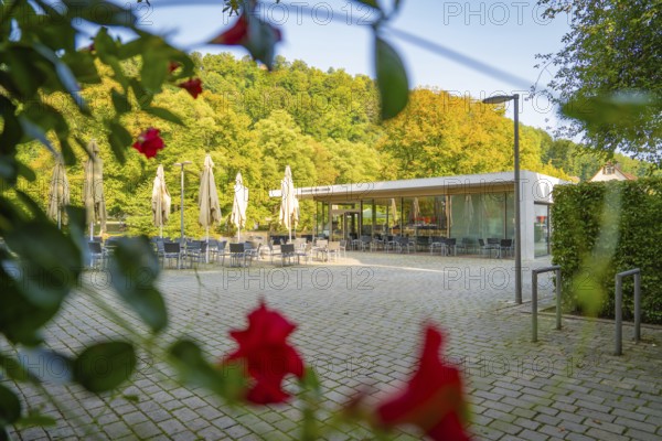 Café with open terrace, framed by lush greenery and red flowers in the foreground, Nagold, district of Calw, Black Forest, Germany