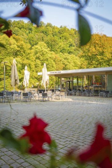 Café with terrace and parasols, surrounded by green trees and red flowers, Nagold, district of Calw, Black Forest, Germany