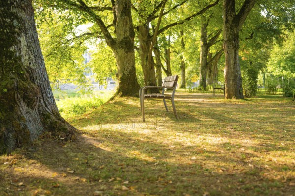 Park with shady bench under trees, the light creates an autumnal ambience, Nagold, district of Calw, Black Forest, Germany